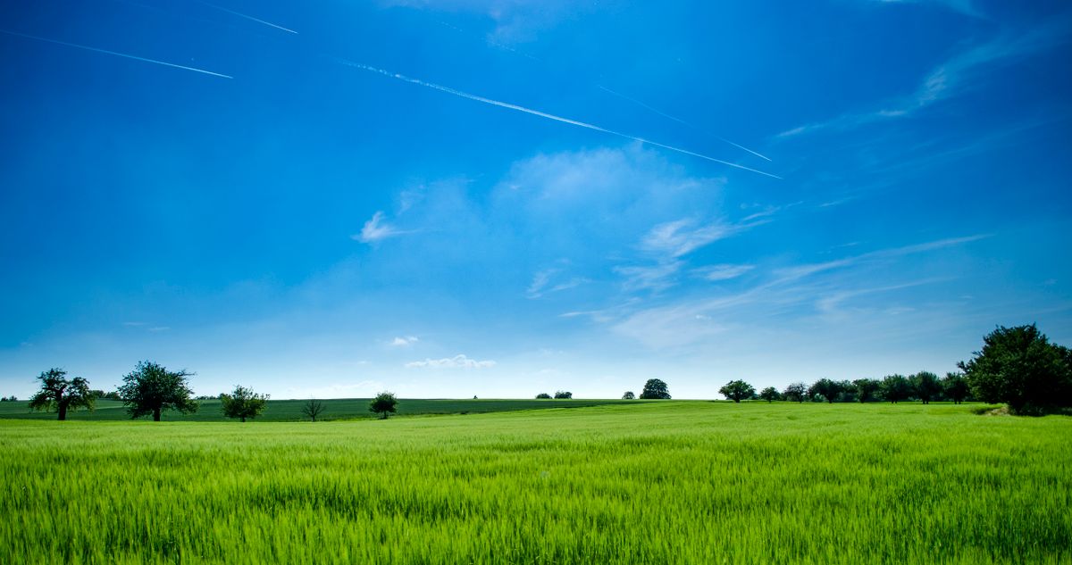 Green open land under a blue sky